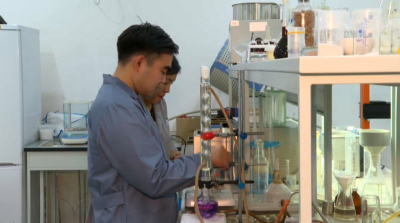 Қызылордалық шаруалар күріш қалдығын кәдеге жаратып жатыр