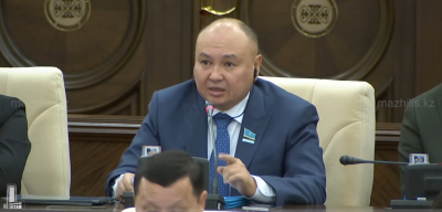 Депутат газет бағасы мен «Қазпошта» мәселесін көтерді