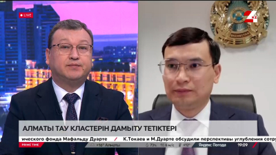 Алматы тау кластерін дамыту тетіктері. Нұртас Кәріпбаев