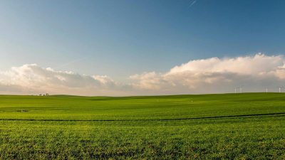 Жамбыл облысында екі ауыл әкімі жақын туыстарына жер телімін бергені үшін жазаланды