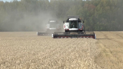 Шетелдік компания Қазақстандағы агросалаға $700 млн инвестиция салуға ниетті