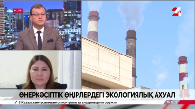 Өнеркәсіптік өңірлердегі экологиялық ахуал. Лаура Сейілбек