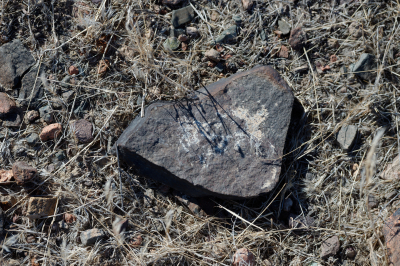 Ғалымдар Алтын-Емел петроглифтерін цифрландыру жобасын таныстырды