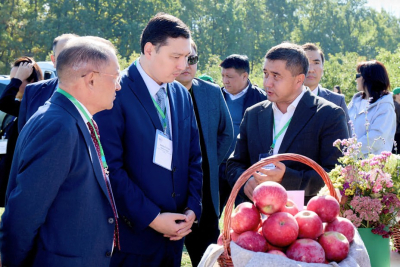 «Мичурин бағы» ашылды