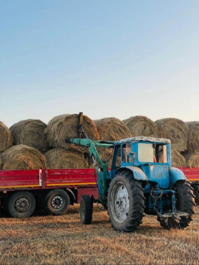 Қазақстанда 27,6 млн тонна мал азығы дайындалды