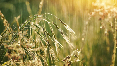 Шымкентте осы аптада 34°C-қа дейін аптап ыстық болып, өткінші жаңбыр жаууы ықтимал