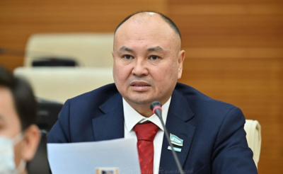 Депутаттар ұсынады: Аудан әкімдерін сайлау үдерісін уақытша тоқтата тұрған жөн