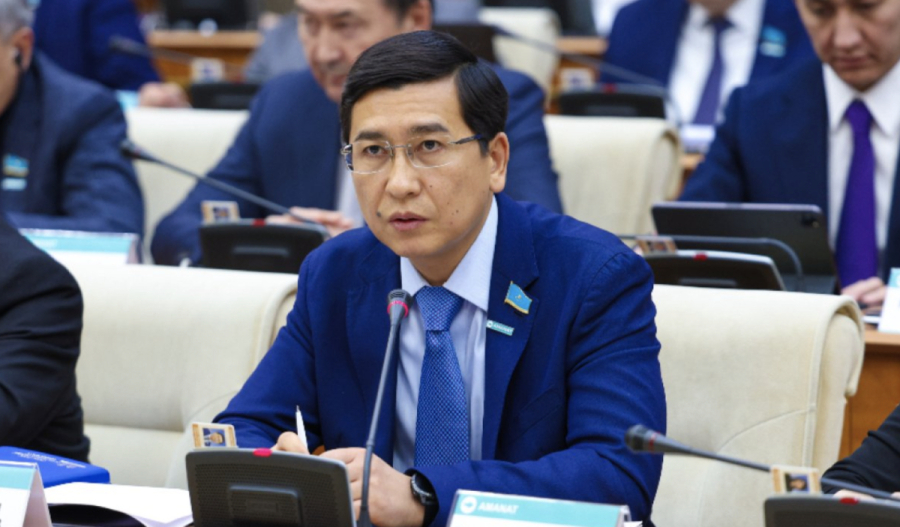 Жедел жәрдемге шабуыл жасау деген жай ғана төбелес емес – депутат