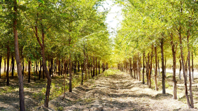 Қазан айында Қазақстан халқы қанша күн демалады?