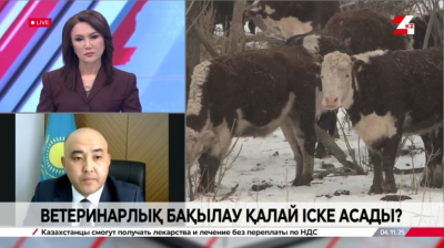 Ветеринарлық бақылау қалай іске асады? Амандық Жәкетаев