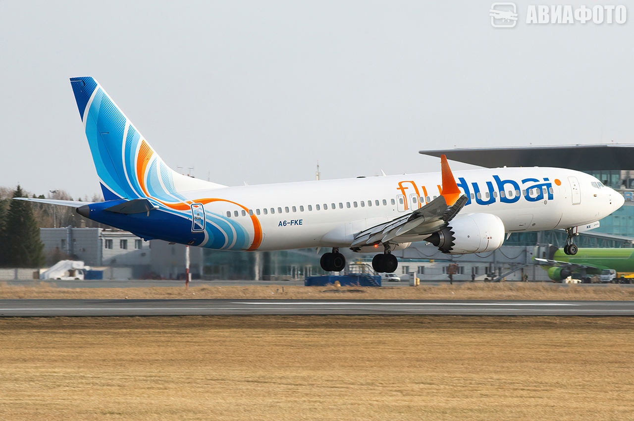 Flydubai приостановила рейсы в Израиль после смертельного инцидента на борту