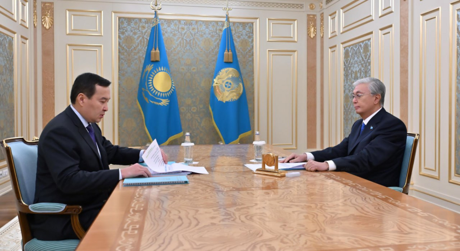 Президент Жоғары аудиторлық палата төрағасын қабылдады