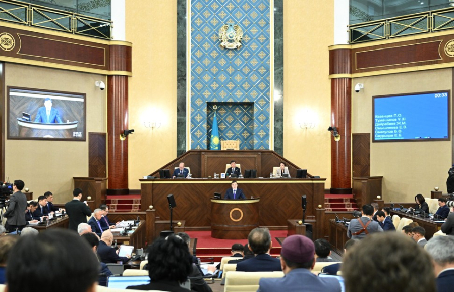 Бизнесті қолдау шараларында кемшін тұстар көп