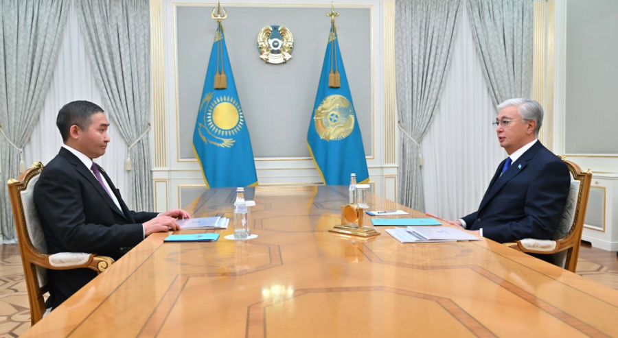 Мемлекет басшысы Qazaq Stroy компаниялар тобының құрылтайшысын қабылдады
