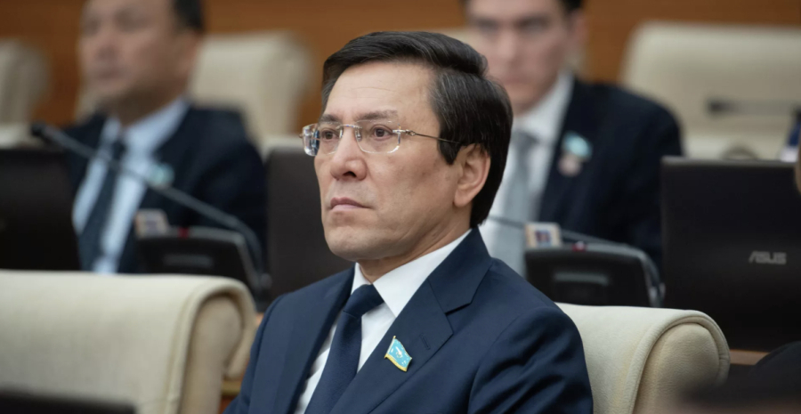 Орта бизнестің экономикадағы үлесі төмендеп жатыр – депутат