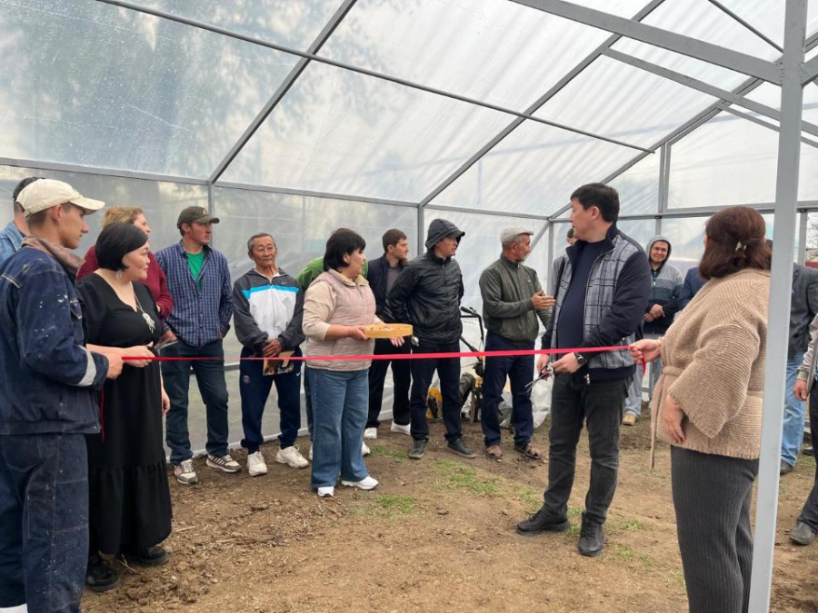 Ауыл кәсіпкерлеріне арналған гранттар: Batys AgroHub жобасы жылыжайды дамытуға қалай көмектесіп жатыр